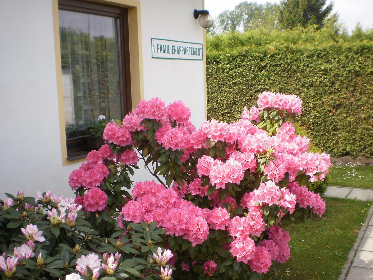 Ferienwohnung Privat Buk 100 Jindřichův Hradec Exterior foto